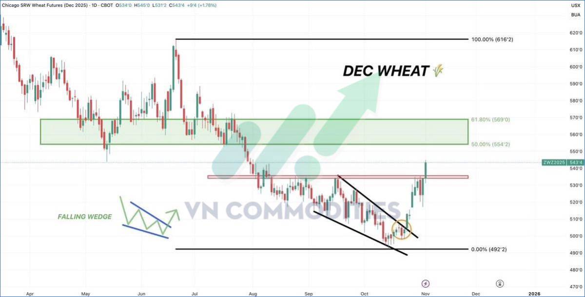 Nông sản bước vào chu kỳ tăng lịch sử Đậu tương vượt đỉnh nửa thế kỷ, cà phê manh nha hồi phục