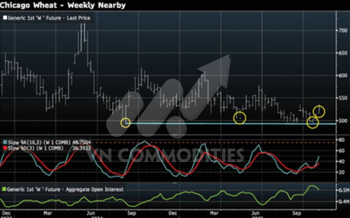 Tín hiệu kỹ thuật đảo chiều lan tỏa: Đậu tương bứt phá, lúa mì bật khỏi vùng đáy