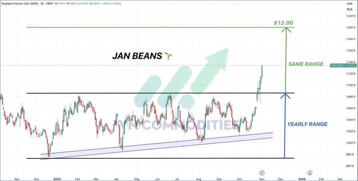 Nông sản bước vào chu kỳ tăng lịch sử Đậu tương vượt đỉnh nửa thế kỷ, cà phê manh nha hồi phục