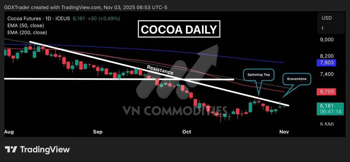 Nông sản bước vào chu kỳ tăng lịch sử Đậu tương vượt đỉnh nửa thế kỷ, cà phê manh nha hồi phục