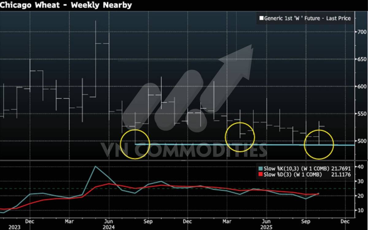 Tín hiệu kỹ thuật đảo chiều lan tỏa: Đậu tương bứt phá, lúa mì bật khỏi vùng đáy