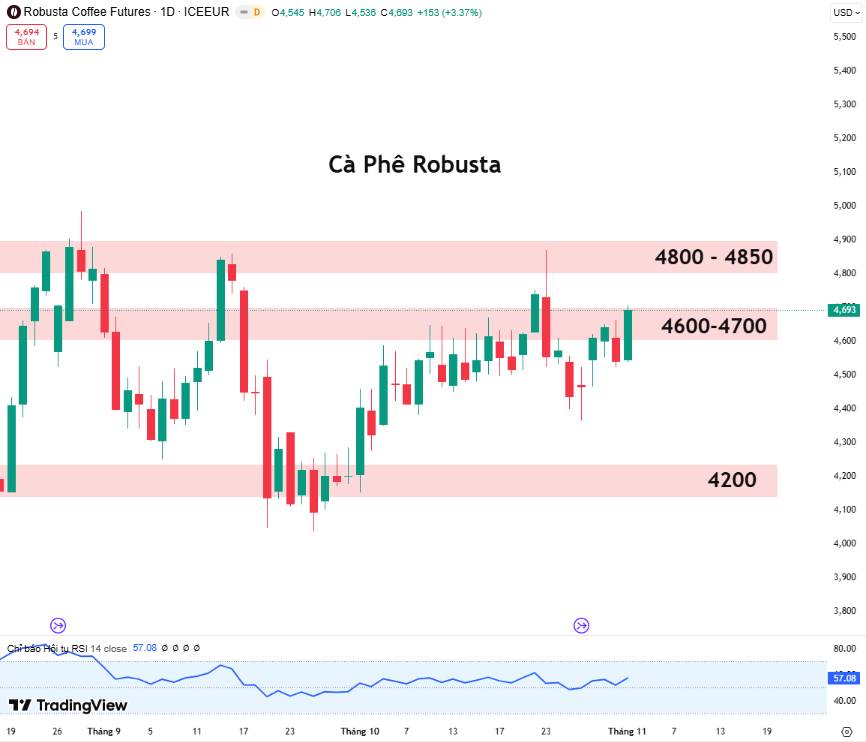 Cà Phê Robusta: Áp Lực Thời Tiết và Mùa Thu Hoạch Đẩy Giá Tăng Trở Lại