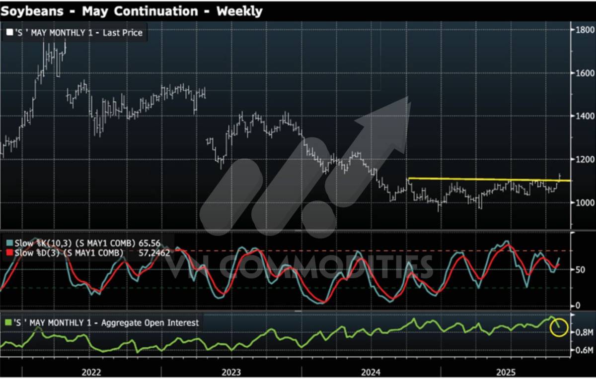 Tín hiệu kỹ thuật đảo chiều lan tỏa: Đậu tương bứt phá, lúa mì bật khỏi vùng đáy