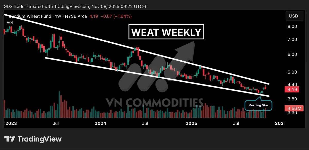 Nông sản giằng co trước thỏa thuận Mỹ–Trung, cà phê chuẩn bị cho pha tăng mới