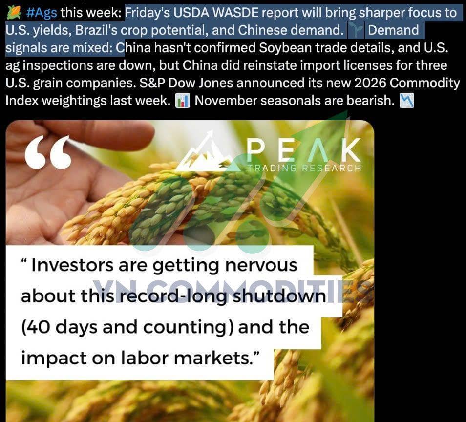 Nông sản giằng co trước thỏa thuận Mỹ–Trung, cà phê chuẩn bị cho pha tăng mới