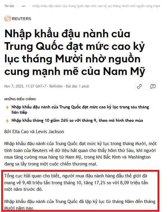 Đậu Tương: Lực Mua Bắt Đáy Hỗ Trợ Giá – Trung Quốc Nhập Khẩu Kỷ Lục, Xu Hướng Tăng Dần Hình Thành