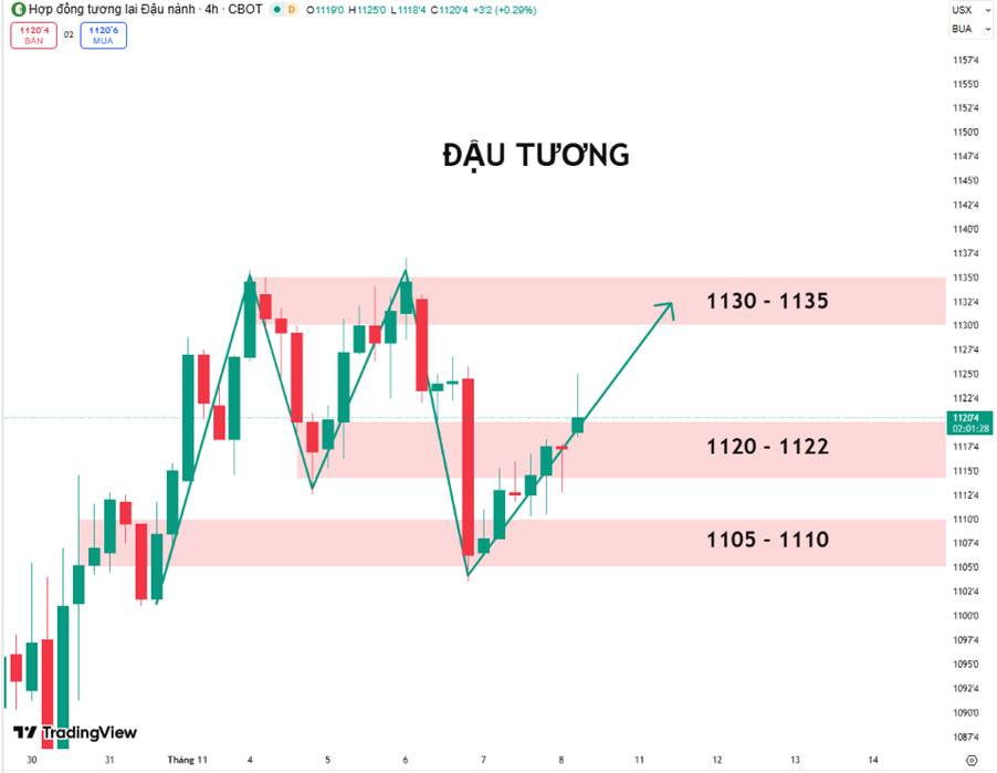 Đậu Tương: Lực Mua Bắt Đáy Hỗ Trợ Giá – Trung Quốc Nhập Khẩu Kỷ Lục, Xu Hướng Tăng Dần Hình Thành
