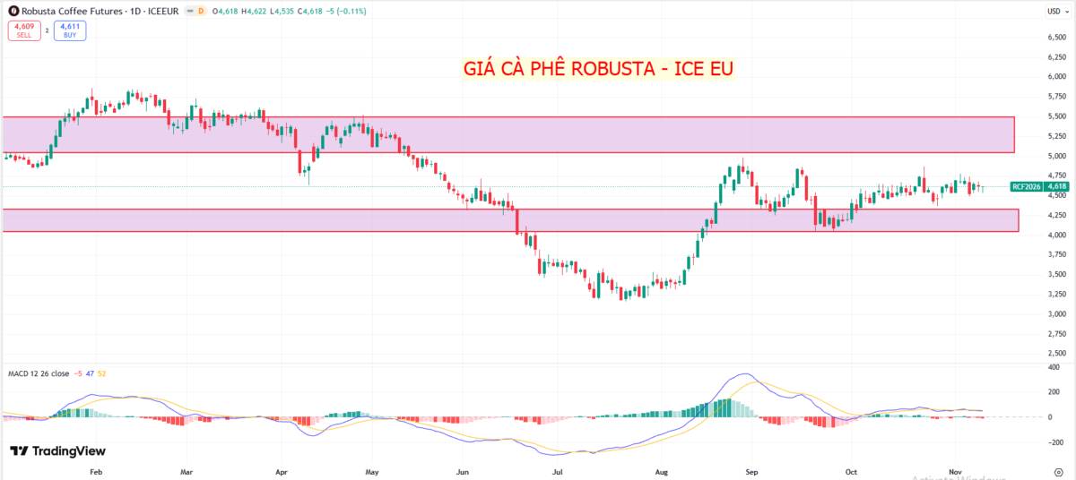 Phân tích chuyên sâu Cà phê Robusta - Nguồn cung bị thắt chặt: Cà phê chinh phục đỉnh giá mới