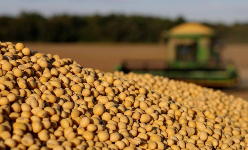 COFCO chi hơn 10 tỷ USD mua nông sản Brazil — tín hiệu lạnh nhạt với hàng Mỹ