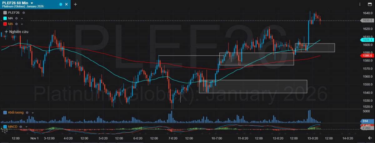 Bản Tin Nhóm Kim Loại Ngày 13/11/2025