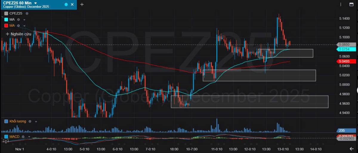 Bản Tin Nhóm Kim Loại Ngày 13/11/2025
