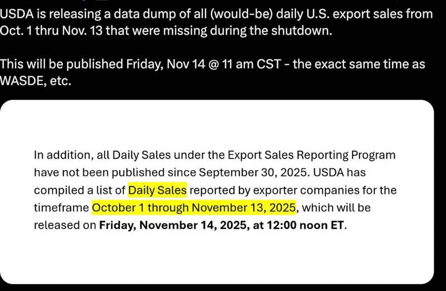 Ngô Tăng Mạnh Trước Báo Cáo USDA – Số Liệu Cung Cầu Chuẩn Bị Gây Biến Động Lớn