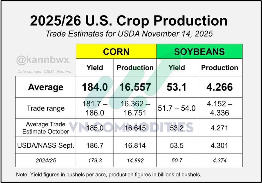 Ngô Tăng Mạnh Trước Báo Cáo USDA – Số Liệu Cung Cầu Chuẩn Bị Gây Biến Động Lớn
