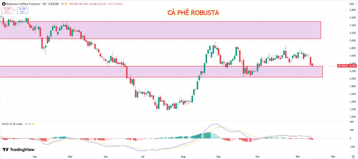 Thị trường hàng hóa - Nông sản trước sức ép kép: Giằng co giữa vụ mùa kỷ lục và biến động thời tiết Nam Mỹ