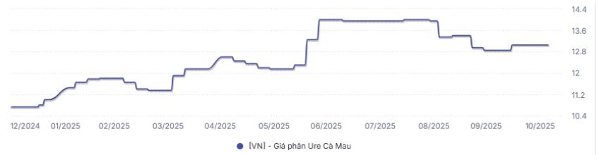 DCM – Q4 có bùng nổ?