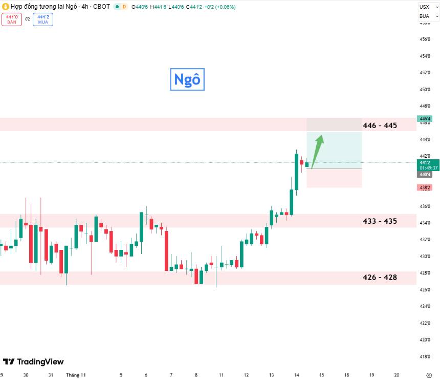 Ngô Tăng Mạnh Trước Báo Cáo USDA – Số Liệu Cung Cầu Chuẩn Bị Gây Biến Động Lớn