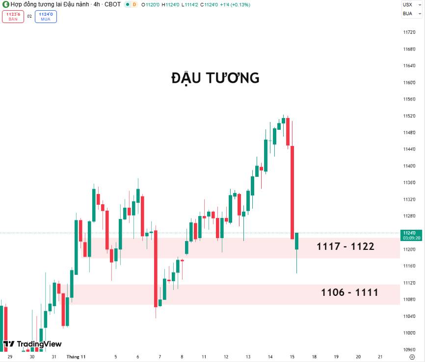 Giá Đậu Tương Đột Ngột Giảm Sau Báo Cáo Cung Cầu – Cơ Hội Hay Bẫy Tăng Giá?
