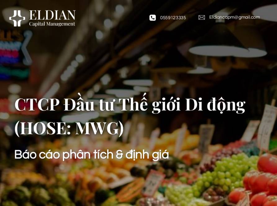 Báo cáo phân tích & định giá CTCP Đầu tư Thế giới Di động​ (HOSE: MWG)