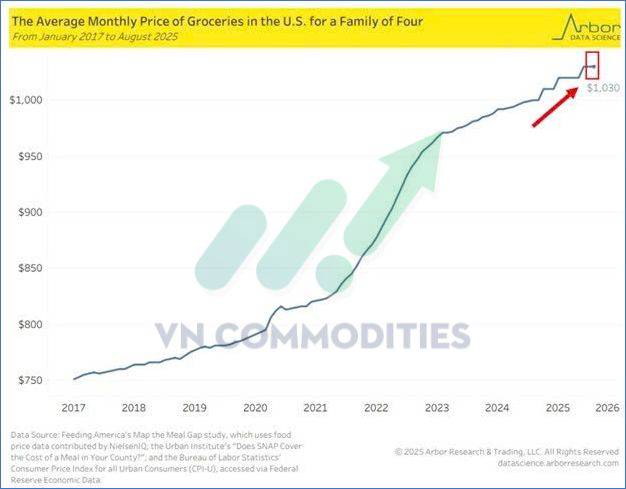 Ngũ cốc chịu áp lực lớn – nhưng cà phê & cacao sắp có nhịp bật mạnh