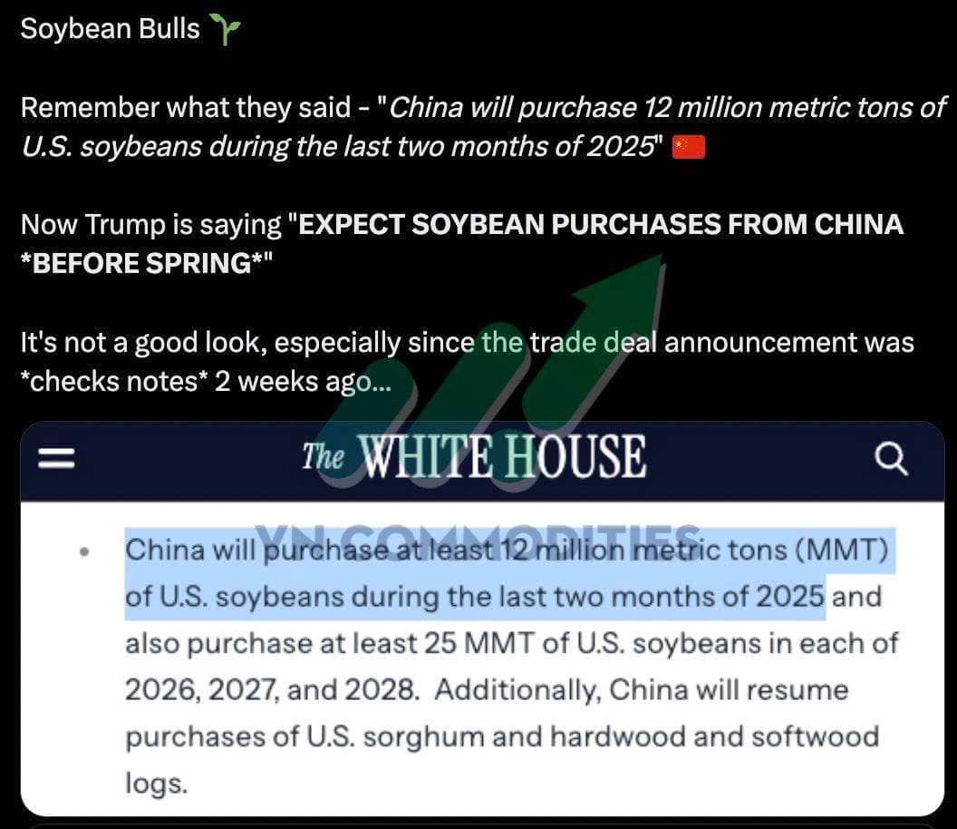 Ngũ cốc chịu áp lực lớn – nhưng cà phê & cacao sắp có nhịp bật mạnh