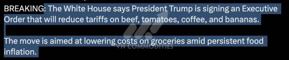 Ngũ cốc chịu áp lực lớn – nhưng cà phê & cacao sắp có nhịp bật mạnh
