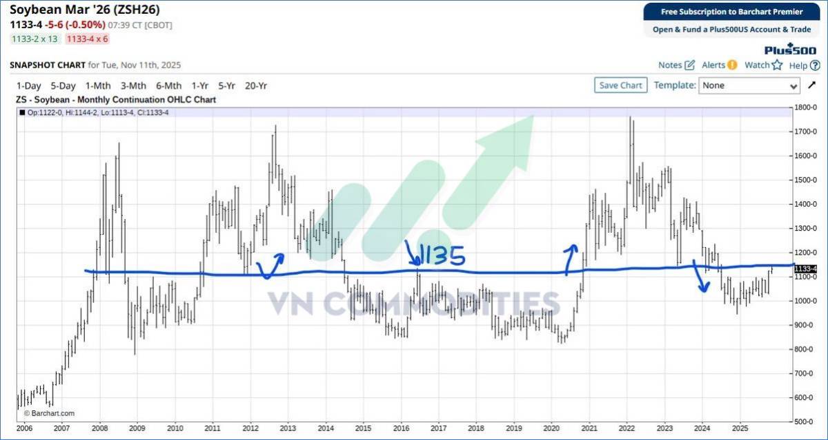 Ngũ cốc chịu áp lực lớn – nhưng cà phê & cacao sắp có nhịp bật mạnh