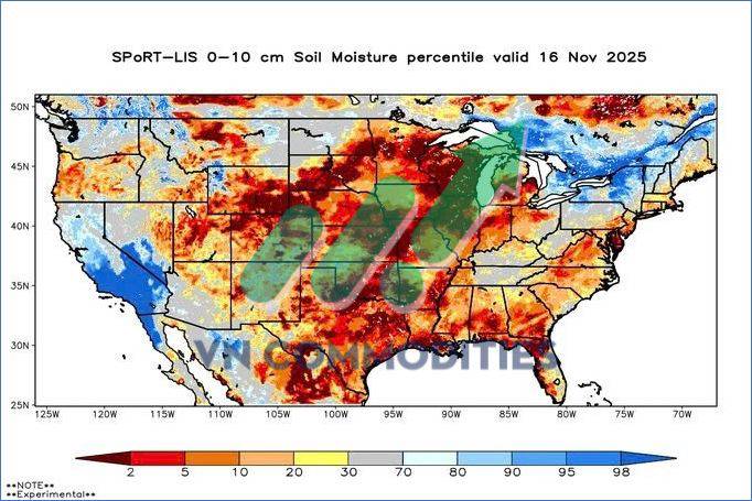Ngũ cốc chịu áp lực lớn – nhưng cà phê & cacao sắp có nhịp bật mạnh