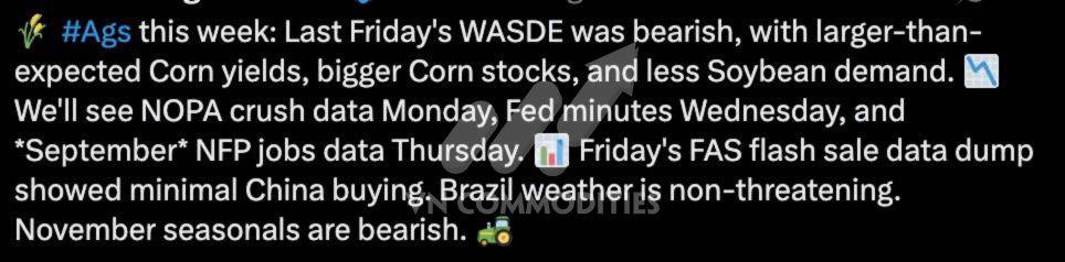 Ngũ cốc chịu áp lực lớn – nhưng cà phê & cacao sắp có nhịp bật mạnh