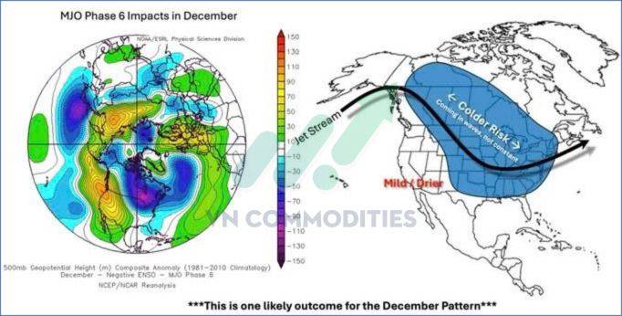 Ngũ cốc chịu áp lực lớn – nhưng cà phê & cacao sắp có nhịp bật mạnh