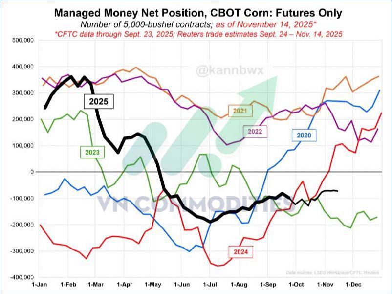Ngũ cốc chịu áp lực lớn – nhưng cà phê & cacao sắp có nhịp bật mạnh