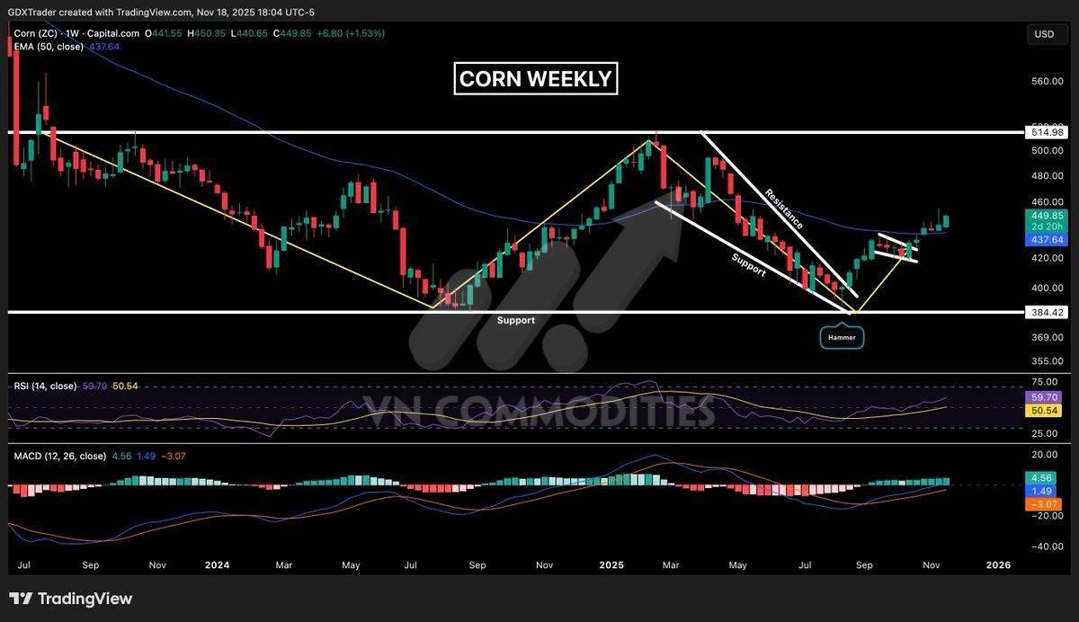 Nông sản 19/11 - Ngô giữ vững xu hướng tăng, cà phê bật khỏi vùng xoay chiều, ca cao tích lũy chuẩn bị cho biến động mới