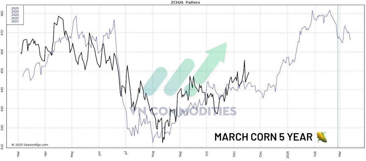 Nông sản 19/11 - Ngô giữ vững xu hướng tăng, cà phê bật khỏi vùng xoay chiều, ca cao tích lũy chuẩn bị cho biến động mới