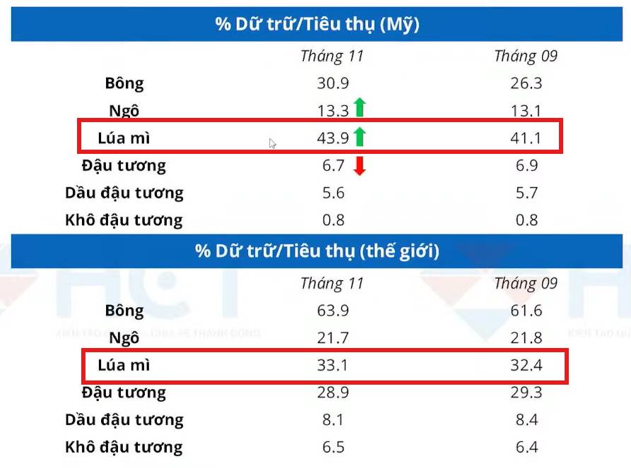 Lúa Mì Tăng Gần Đỉnh 4 Tháng – Nhu Cầu Giao Ngay Lấn Át Áp Lực Từ WASDE