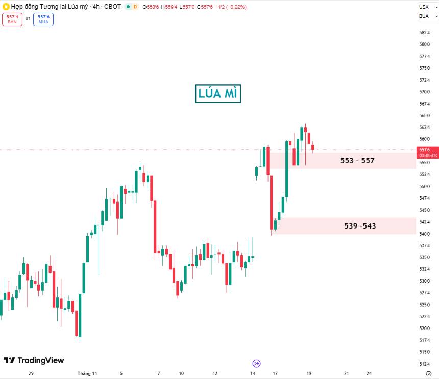 Lúa Mì Tăng Gần Đỉnh 4 Tháng – Nhu Cầu Giao Ngay Lấn Át Áp Lực Từ WASDE