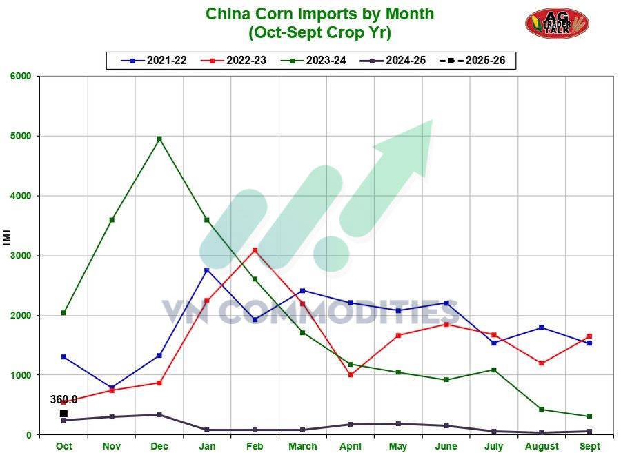 Nông sản 19/11 - Ngô giữ vững xu hướng tăng, cà phê bật khỏi vùng xoay chiều, ca cao tích lũy chuẩn bị cho biến động mới