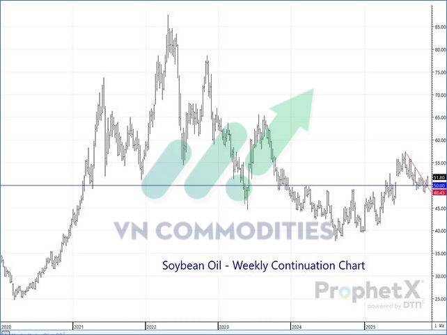 Nông sản 19/11 - Ngô giữ vững xu hướng tăng, cà phê bật khỏi vùng xoay chiều, ca cao tích lũy chuẩn bị cho biến động mới