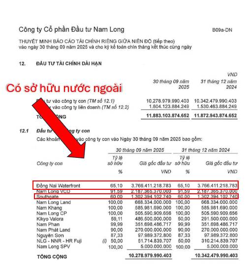 Góc nhìn Chuyên sâu: Mùa BCTC Gõ cửa – Lợi nhuận NLG Sẽ về tay Ai? Bài toán Phân bổ Lợi ích