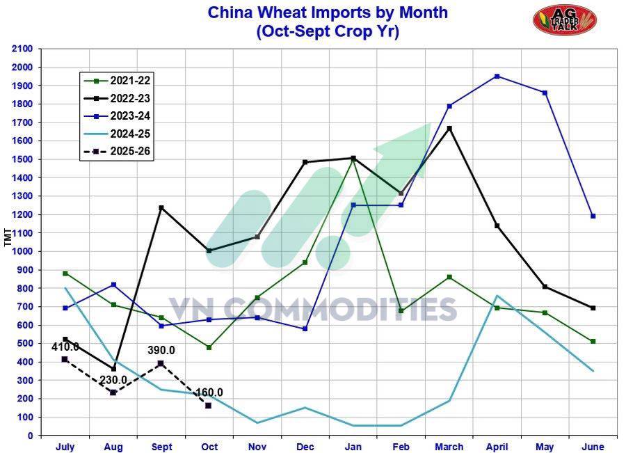Nông sản 19/11 - Ngô giữ vững xu hướng tăng, cà phê bật khỏi vùng xoay chiều, ca cao tích lũy chuẩn bị cho biến động mới