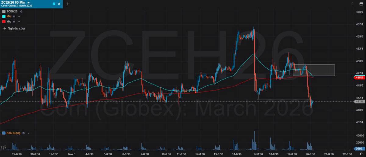 Bản Tin Nhóm Nông Sản Ngày 20/11/2025