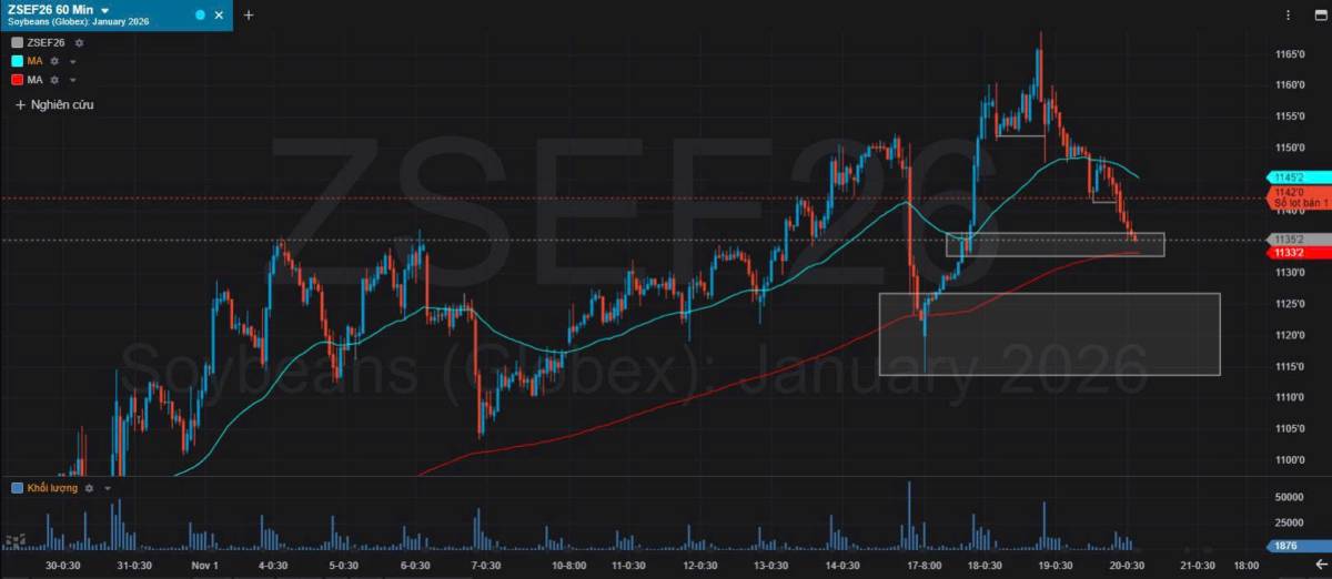 Bản Tin Nhóm Nông Sản Ngày 20/11/2025