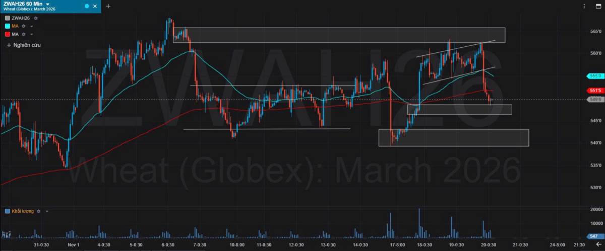 Bản Tin Nhóm Nông Sản Ngày 20/11/2025