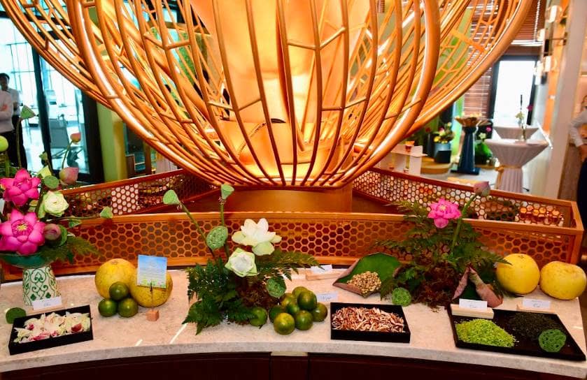 Vietnam Airlines “kể chuyện bằng hương sen” với hệ sinh thái mùi hương Nhã trên toàn hành trình bay