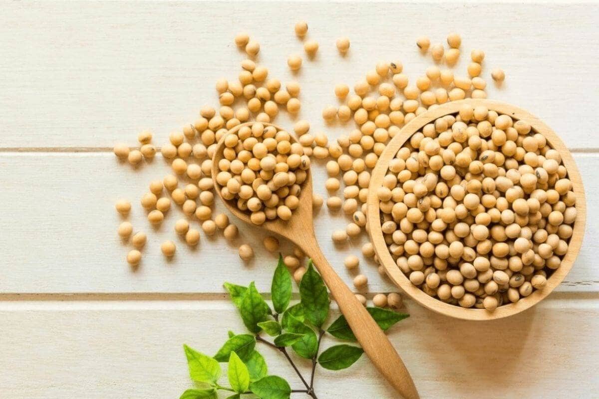 Đậu tương toàn cầu: Tín hiệu trái chiều giữa nhu cầu trung quốc và rủi ro sản lượng tại Brazil