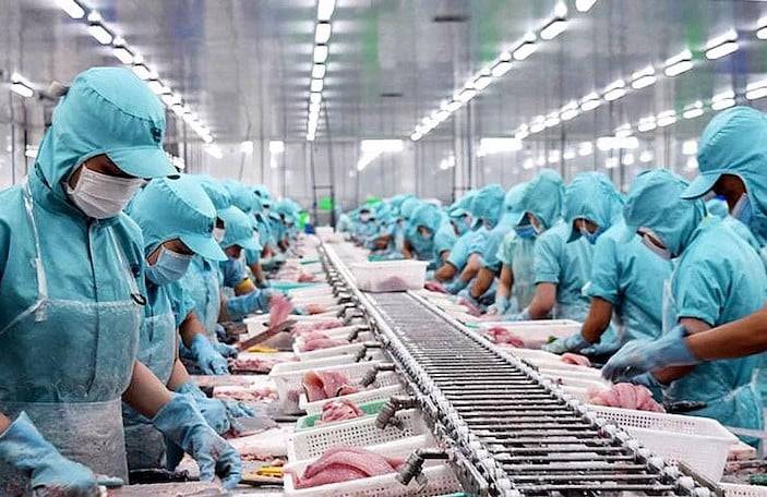 CHUỖI CÁ TRA KHÉP KÍN LỚN THỨ 2 THẾ GIỚI, BỨT TỐC LỢI NHUẬN, MỞ RA CHU KỲ TĂNG TRƯỞNG MỚI ?. 9 tháng  ...