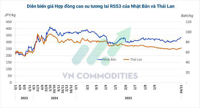 Giá cao su hôm nay tăng nhẹ trên thị trường quốc tế nhờ kỳ vọng nhu cầu
