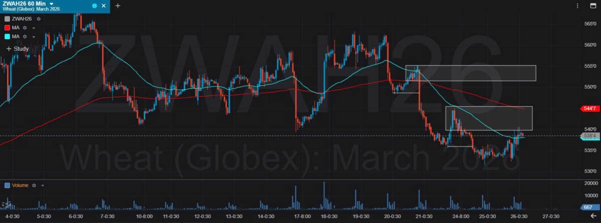 Bản Tin Nhóm Nông Sản Ngày 26/11/2025