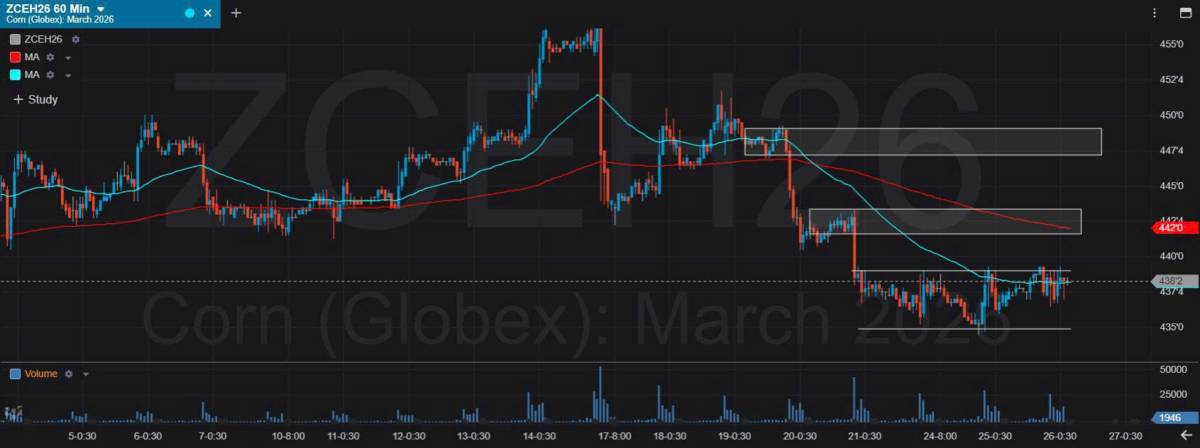 Bản Tin Nhóm Nông Sản Ngày 26/11/2025