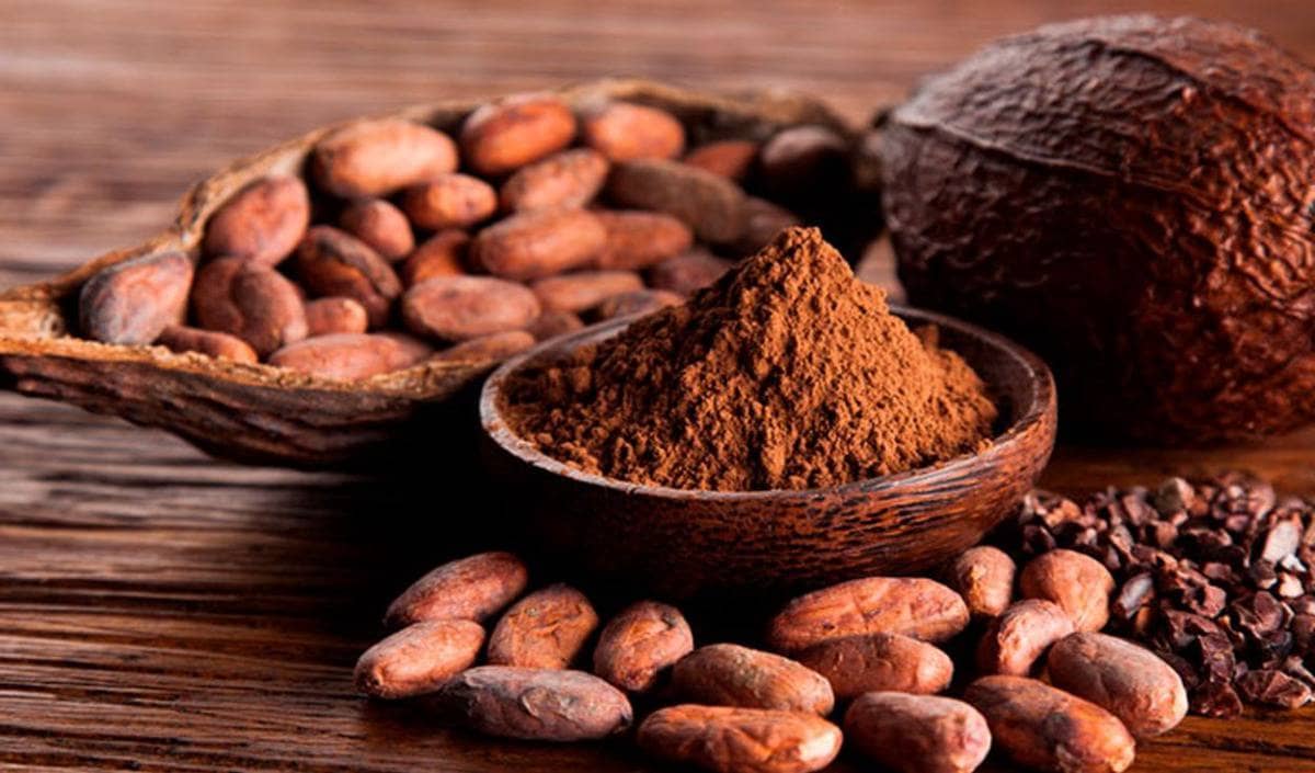Ecuador Bùng Nổ Sản Lượng, Tồn Kho Mỹ Dồi Dào: Thị Trường Cacao Đang Bước Sang Giai Đoạn Mới?