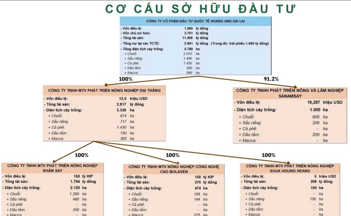 HOÀNG ANH GIA LAI - GIẢI MÃ SỨC MẠNH TĂNG TRƯỞNG TIỀM NĂNG TRONG NĂM 2026. Cổ phiếu HAG đang giao dịch  ...