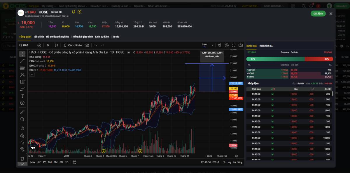 HOÀNG ANH GIA LAI - GIẢI MÃ SỨC MẠNH TĂNG TRƯỞNG TIỀM NĂNG TRONG NĂM 2026. Cổ phiếu HAG đang giao dịch  ...